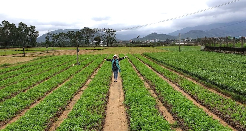 Nhờ “bà đỡ” HTX đã góp phần tạo ra lợi thế lớn cho làng rau Thuận Nghĩa làm du lịch nông nghiệp, tạo sinh kế bền vững cho nông dân địa phương.