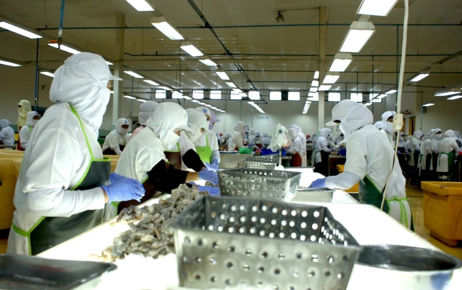 Nhiều dự báo cho thấy XK thủy sản sẽ tiếp tục gặp khó vào quý 3/2023 giữa mối lo về khả năng cạnh tranh của ngành thủy sản Việt.