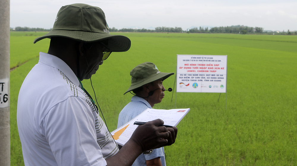 Ứng dụng công nghệ đồng bộ và liên kết sản xuất theo chuỗi, mô hình trồng lúa chất lượng cao trên cánh đồng lớn của HTX Vọng Đông đã được đoàn chuyên gia châu Phi sang học hỏi kinh nghiệm.