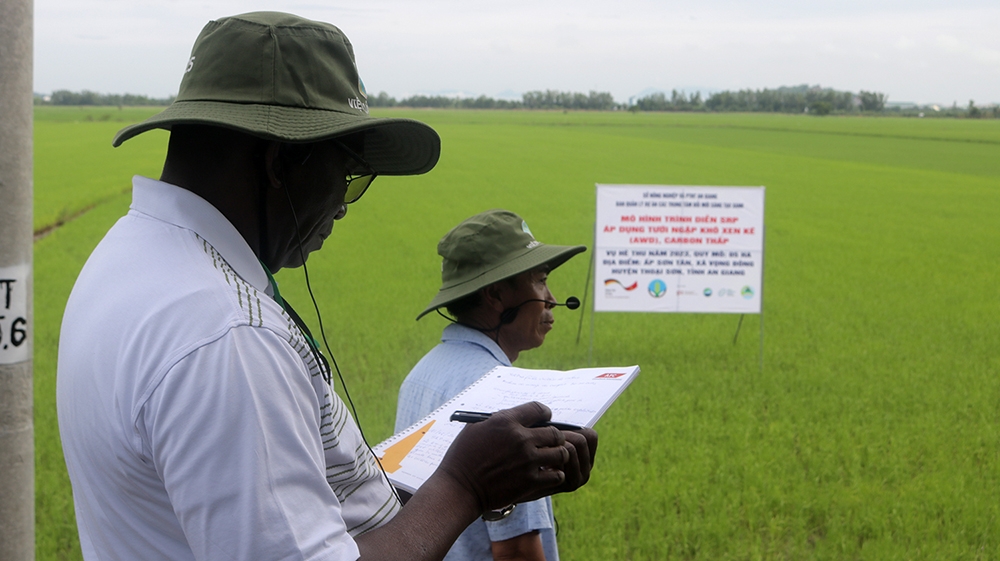 Ứng dụng công nghệ đồng bộ và liên kết sản xuất theo chuỗi, mô hình trồng lúa chất lượng cao trên cánh đồng lớn của HTX Vọng Đông đã được đoàn chuyên gia châu Phi sang học hỏi kinh nghiệm.