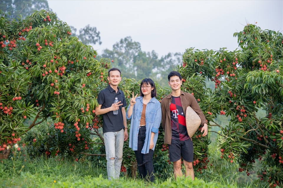 Làm du lịch từ canh tác vải đang là thế mạnh của nhiều HTX ở Bắc Giang.