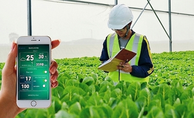 Nhờ các hệ thống cảm biến thông minh trên đồng ruộng, nông dân có thể giám sát, ra quyết định chăm sóc cây trồng.