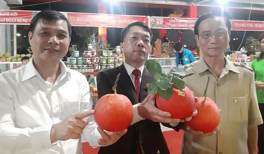 Bưởi đỏ 4 sao của HTX Đông Cao nhân được nhiều sự quan tâm khi tham gia các buổi xúc tiến thương mại.