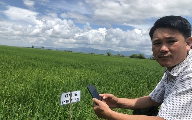 Thông qua smartphone, thông tin được cập nhật ở mọi lúc, mọi nơi.