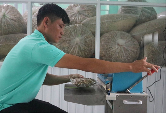 Các HTX đã và đang góp phần quan trọng trong việc thúc đẩy phát triển nông nghiệp công nghệ cao, góp phần đẩy nhanh quá trình xây dựng NTM nâng cao.