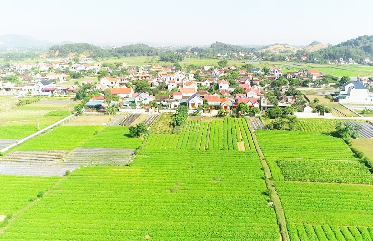 Nông nghiệp, nông thôn huyện Hậu Lộc đang đổi mới toàn diện, với mục tiêu về đích huyện nông thôn mới trong năm 2023.