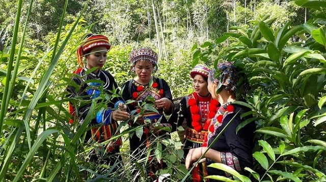 Sự phát triển và đổi thay của những thôn, bản người Dao ở vùng cao đã cho thấy hướng đi hiệu quả trong công tác dân tộc của Bắc Kạn.