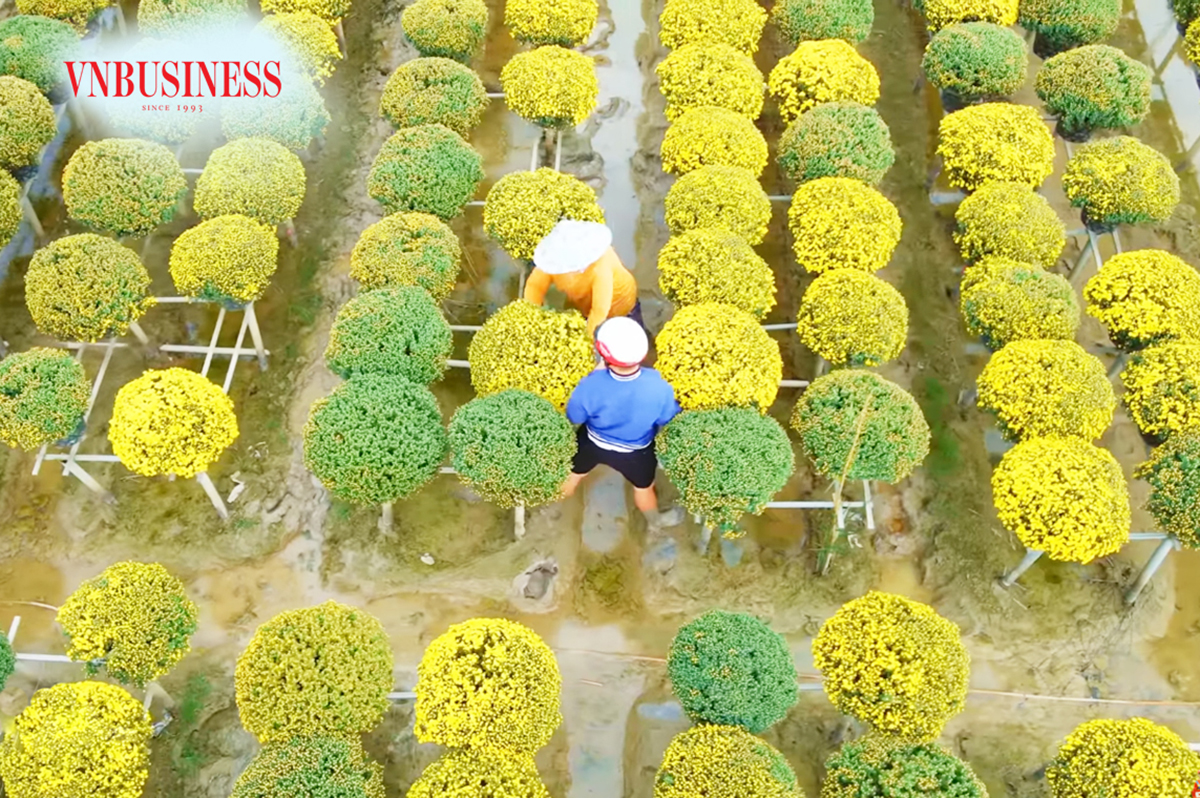 Nông nghiệp Đồng Tháp đang có chuyển biến toàn diện nhờ các mô hình Hội quán, HTX, làng thông minh.