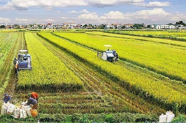 Tỉnh Quảng Trị đã đưa nội dung về công nghệ số trong NTM thành một nội dung trọng tâm, tập trung chỉ đạo thực hiện trong đoạn 2020 - 2025.