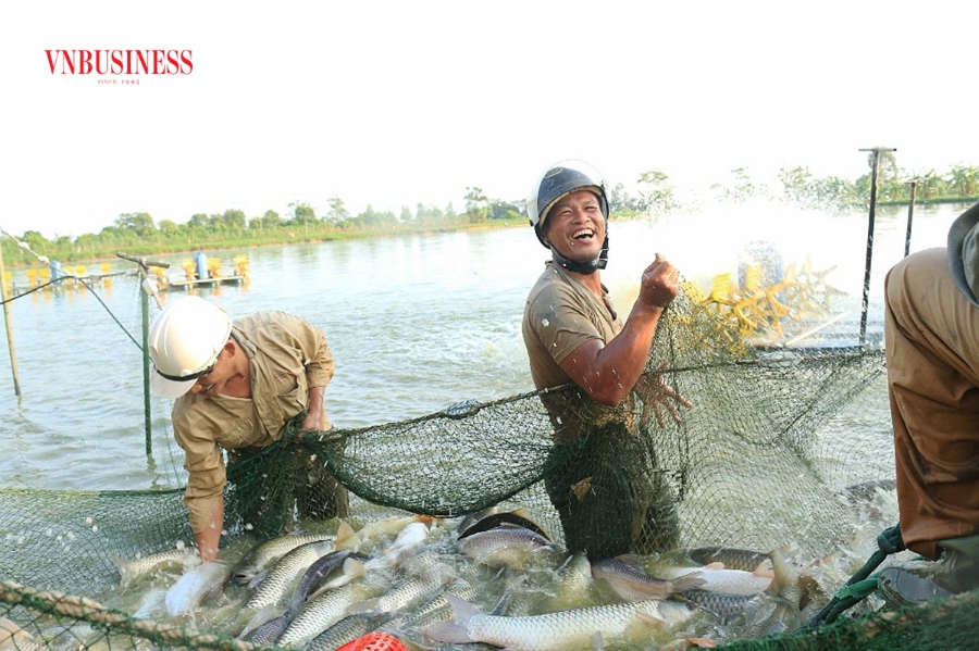 Cần thêm chính sách hỗ trợ để mở rộng đối tượng lao động trong HTX tham gia BHXH.