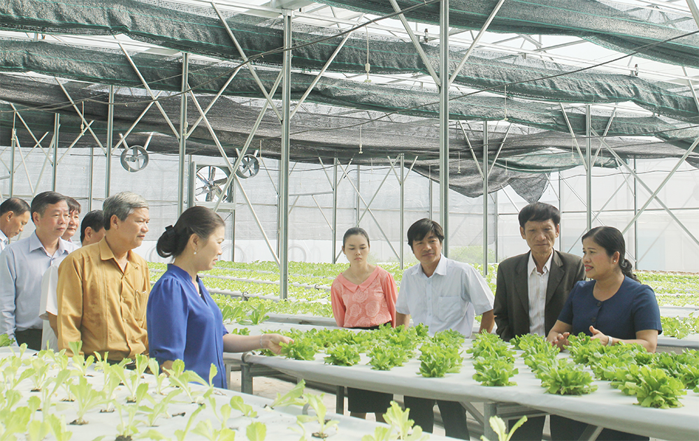 Thu hút nông dân, hộ cá thể vào HTX là con đường làm ăn kinh tế hiệu quả.