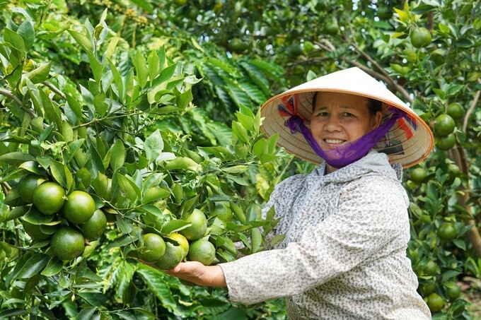 Nông nghiệp hữu cơ là hướng đi được nhiều nông dân, HTX lựa chọn.