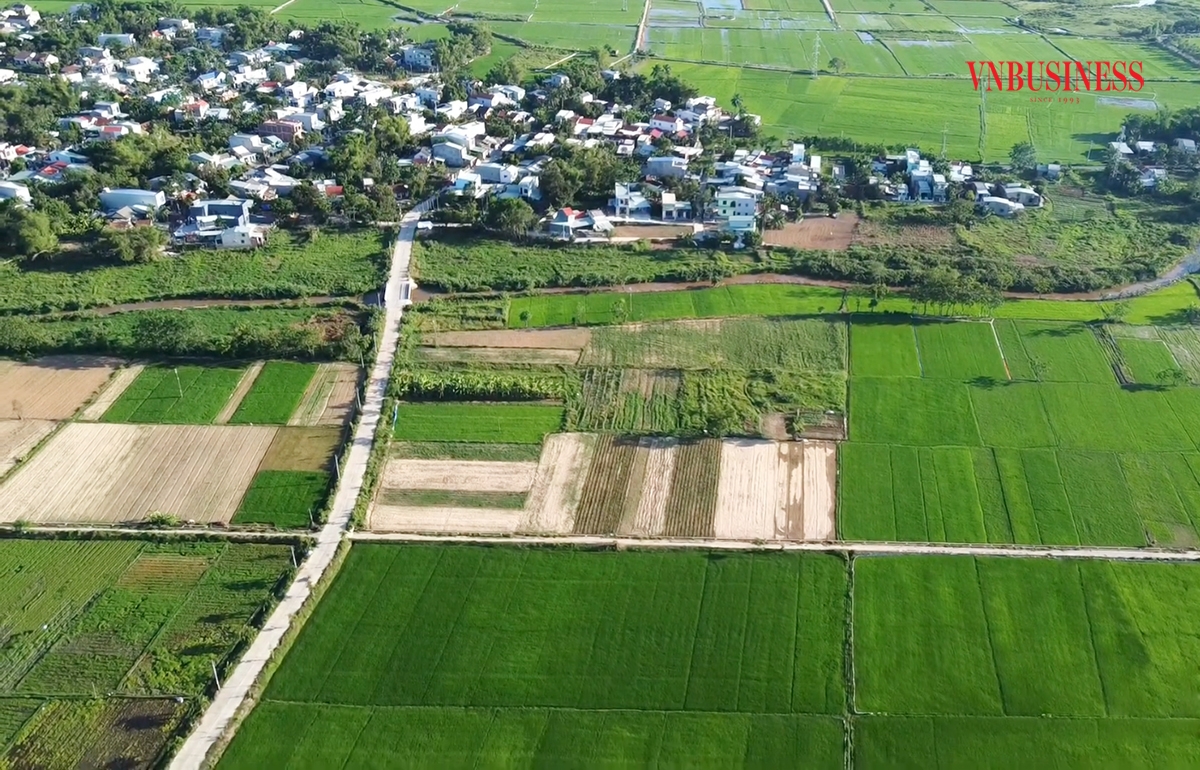 Nông nghiệp nông thôn Hòa Vang đang có chuyển biến tích cực.