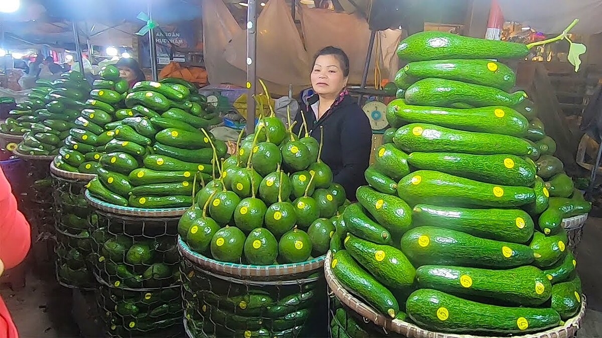Quả bơ vẫn đang rớt giá vì khó khăn trong xuất khẩu.