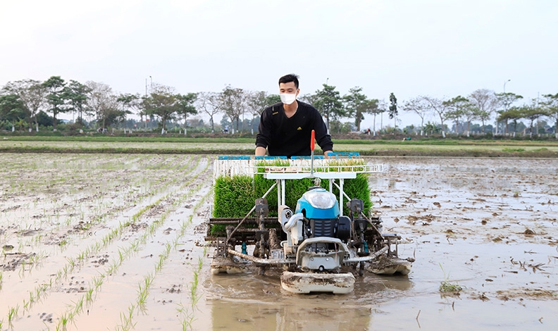 Cấy máy, mạ khay được ứng dụng ở nhiều vùng sản xuất nông nghiệp trên địa bàn Thành phố Hà Nội.