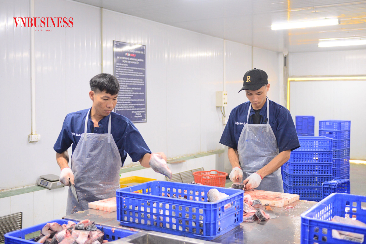 Mô hình của HTX Đại Áng được vận hành khép kín hoàn toàn với mục tiêu “đưa sản phẩm từ trang trại đến tận bàn ăn của người tiêu dùng”.