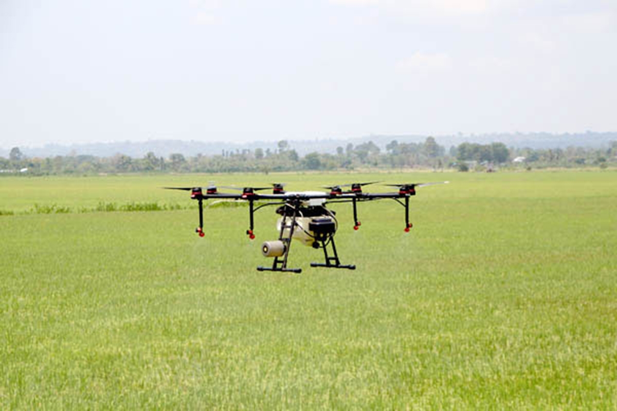 Định Quán định hướng sản xuất theo chuỗi giá trị, ứng dụng công nghệ cao &lpar;Ảnh: Ngọc Liên/BĐN&rpar;.