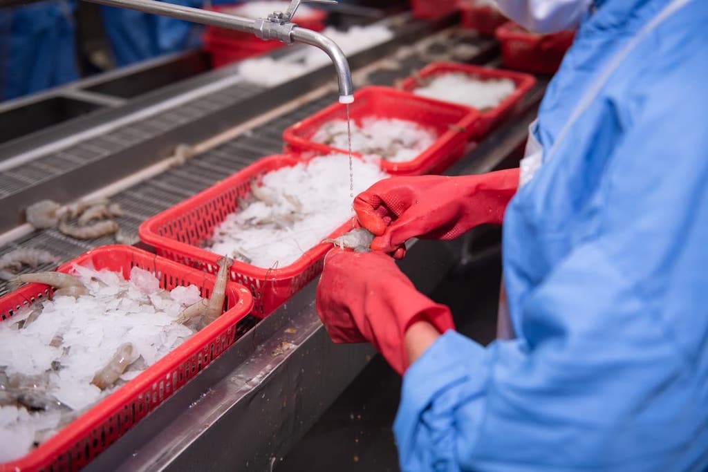 Để tăng sức cạnh tranh trên thị trường xuất khẩu đang đòi hỏi các DN trong ngành tôm phải tự chủ được nguyên liệu, giảm được giá thành.