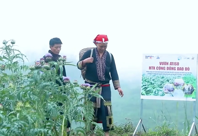 HTX đóng góp quan trọng cho sự nghiệp phát triển kinh tế của tỉnh Lào Cai.