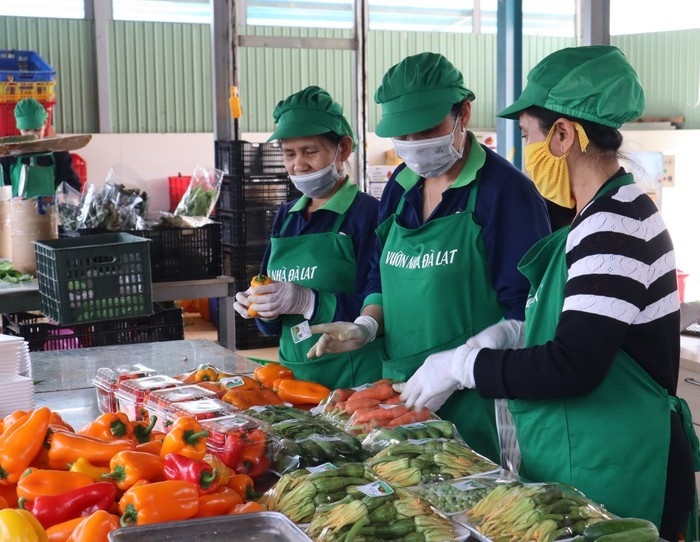 Sản phẩm sau khi thu hoạch được các thành viên HTX phân loại, đóng gói.