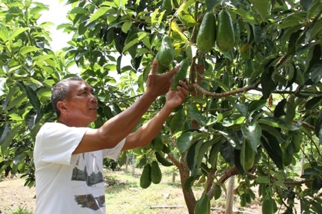 Nhiệm vụ trọng tâm của huyện Bác Ái là cải thiện đời sống của người dân, góp phần xóa đói, giảm nghèo bền vững.