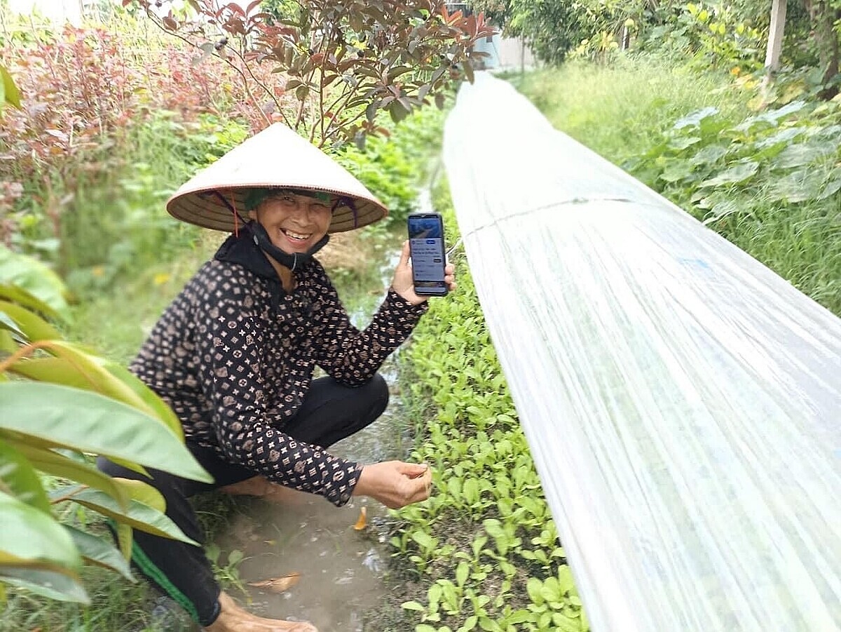 Vẫn thiếu các đơn vị tư vấn đồng hàng cùng người dân, HTX trong sản xuất, kinh doanh.