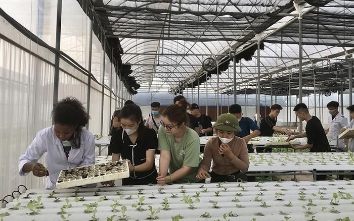 Nhân lực chất lượng cao vẫn là bài toán khó đối với các HTX và ngành nông nghiệp.