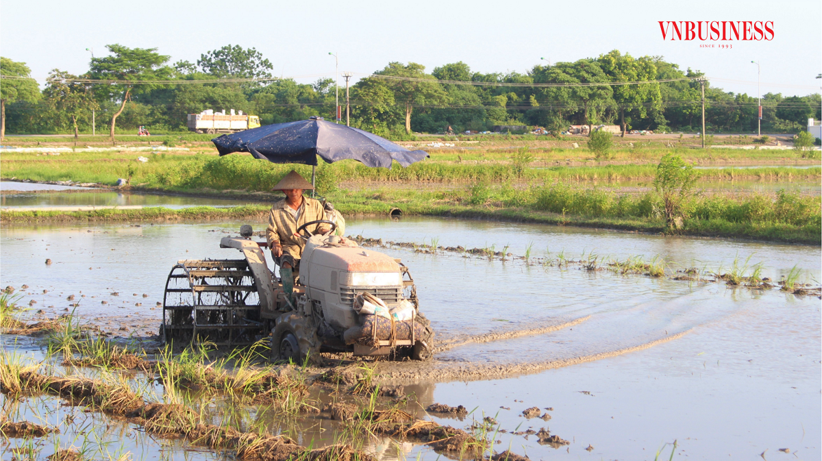 HTX Dục Tú luôn hỗ trợ bà con ứng dụng khoa học - kỹ thuật để nâng cao chất lượng và sản lượng lúa gạo tại địa phương.
