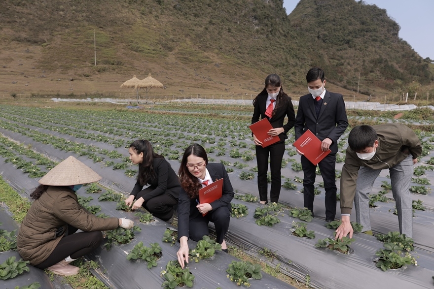 Mục đích chuyển đổi số được Agribank thực hiện nhằm góp phần đẩy mạnh thanh toán không dùng tiền mặt, hạn chế và đẩy lùi nạn tín dụng đen đặc biệt trên địa bàn nông nghiệp nông thôn.