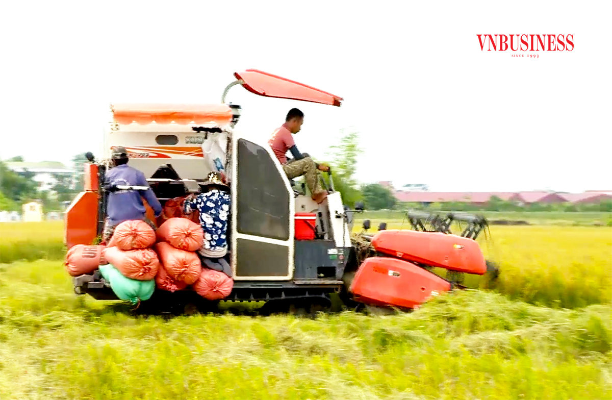Yên Mô đang chủ động thúc đẩy ứng dụng khoa học - kỹ thuật vào quá trình sản xuất, nâng cao thu nhập cho người dân.