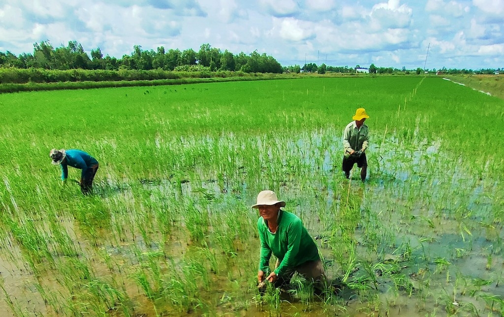 Với phương châm “trao cần câu hơn trao con cá”, huyện Hồng Dân đã cụ thể hóa các chủ trương, chính sách phù hợp với thực tế của địa phương nhằm mang lại cho đồng bào Khmer chiếc “cần câu”, mở ra cơ hội thoát nghèo.