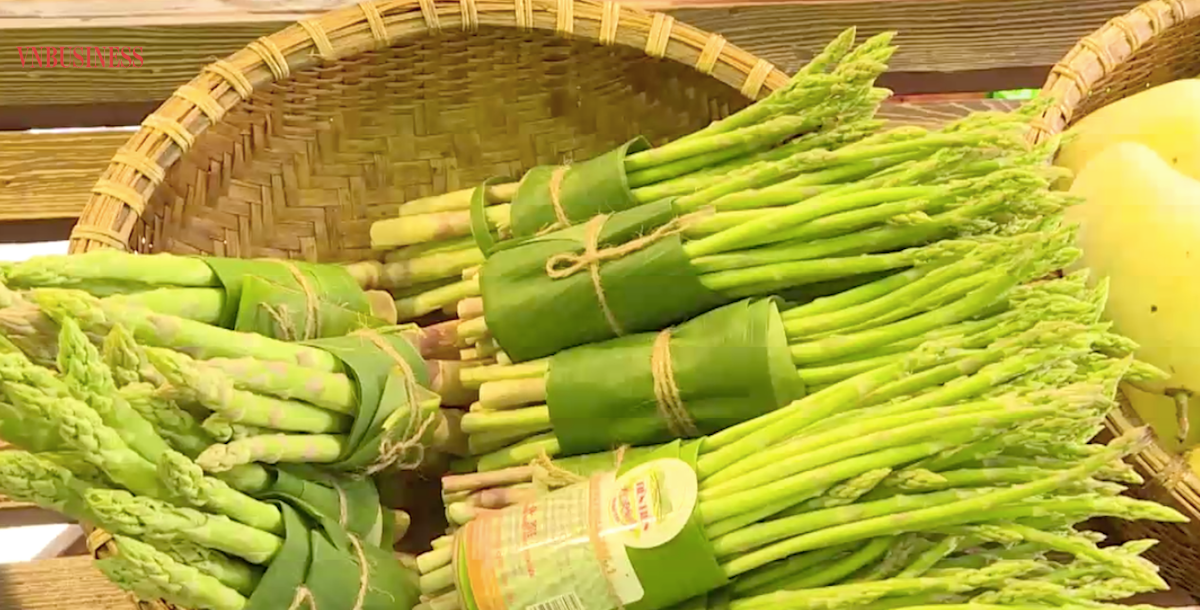 95% người tiêu dùng Thủ đô đã có ý thức về bảo vệ môi trường.