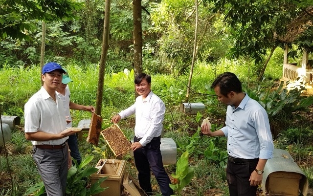 Nhiều HTX trên địa bàn hoạt động có hiệu quả đã góp phần tích cực thúc đẩy kinh tế nông nghiệp nông thôn, góp phần xây dựng NTM.