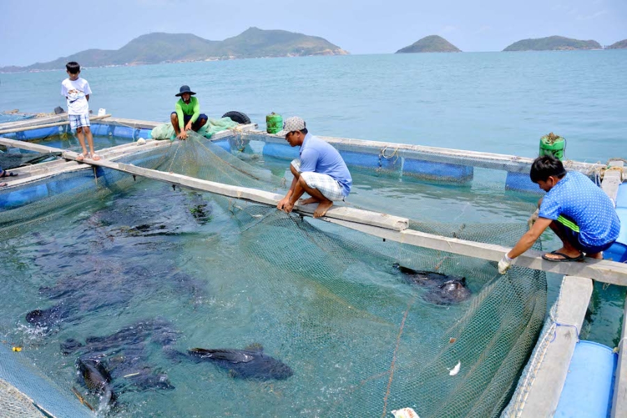 Người dân ở quần đảo Nam Du có nhu cầu tham gia HTX để ổn định nghề nuôi trồng thủy sản.