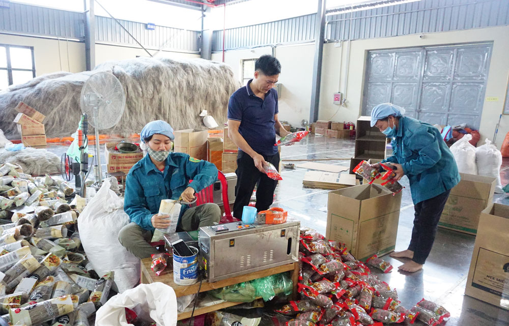 Việc cán bộ quản lý tại địa phương quan tâm đến kinh tế tập thể sẽ tạo đà cho HTX phát triển hiệu quả, bền vững.