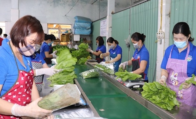 Dây chuyền sơ chế, đóng gói sản phẩm rau của HTX Rau quả Chúc Sơn, huyện Chương Mỹ