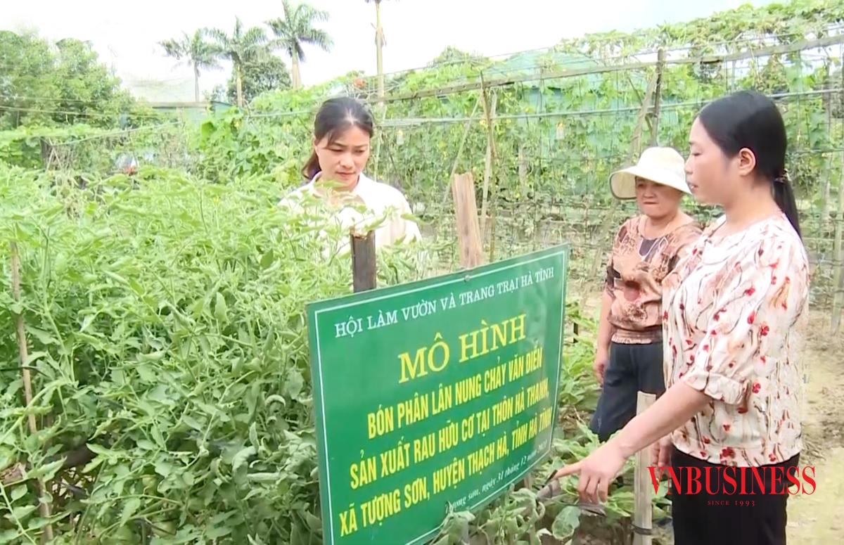 BHXH tỉnh Hà Tĩnh sẽ tiếp tục đẩy mạnh nhân rộng các sáng kiến, mô hình về chính sách an sinh.