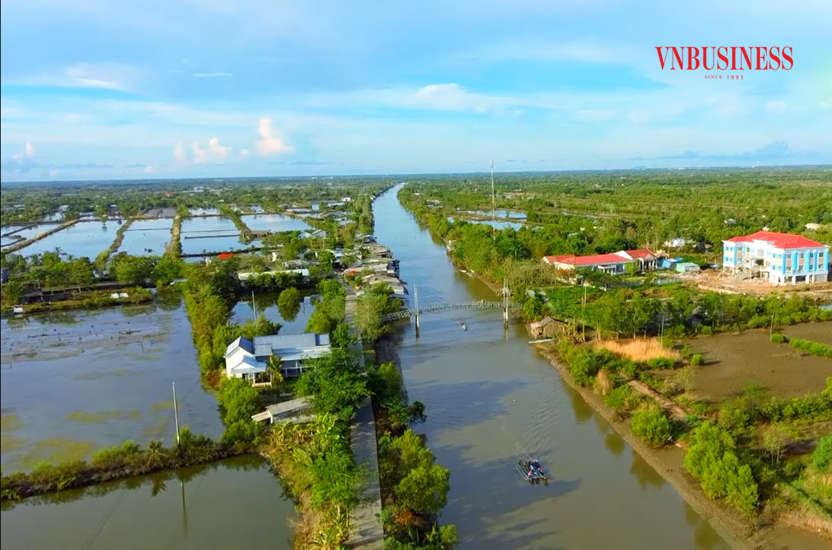Với lợi thế về diện tích nước mặt, mô hình tôm lúa hữu cơ sẽ tiếp tục được huyện Cái Nước chú trọng thúc đẩy.