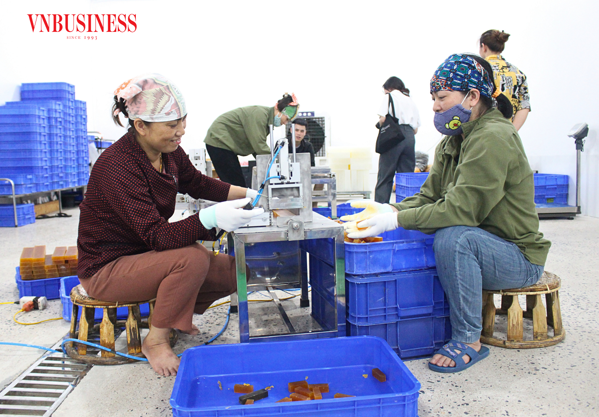 HTX Sinh Dược đã “hồi sinh” vùng dược liệu cổ ở Ninh Bình và cho ra đời những sản phẩm mang đậm dấu ấn truyền thống.