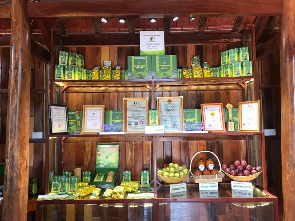HTX Bình Thuận đã xây dựng thành công thương hiệu Chè Trọng Nguyên – Phổng Lái Thuận Châu và đạt nhiều giải thưởng.