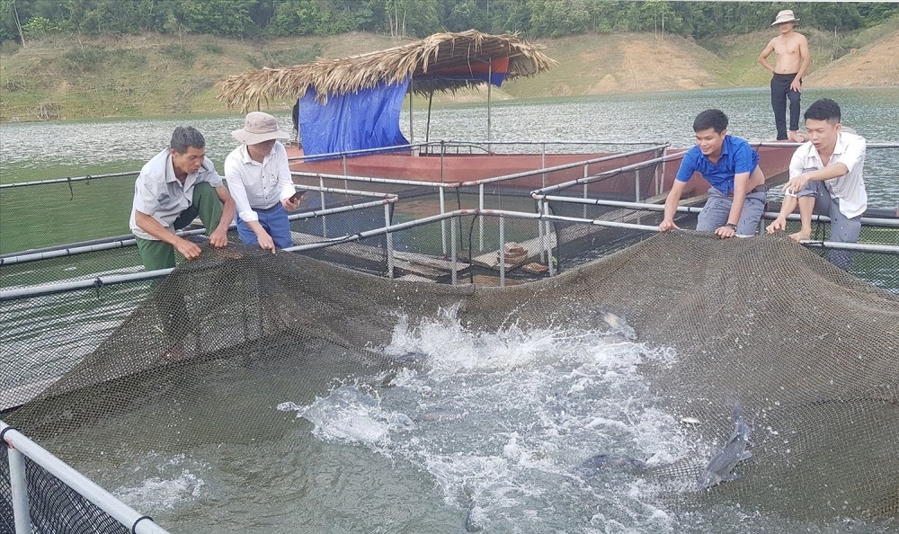 Mô hình nuôi cá hàng hoá tại HTX nông nghiệp, dịch vụ Hủa Na mang lại giá trị kinh tế cao cho các thành viên.