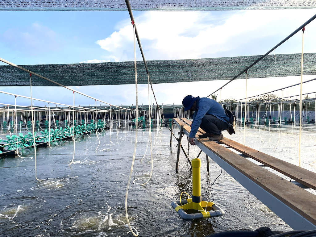 Liên kết chặt chẽ chuỗi sản xuất, phát huy thế mạnh nuôi trồng thủy sản giúp nông dân huyện Duyên Hải ngày càng thêm khấm khá.