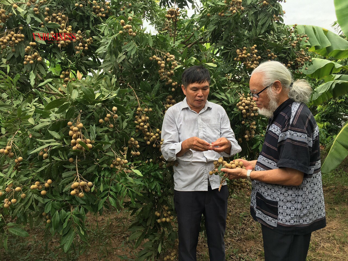 Giám đốc Trần Văn Mý &lpar;áo trắng&rpar; giới thiệu quy trình sản xuất nhãn sạch của HTX Quyết Thắng.