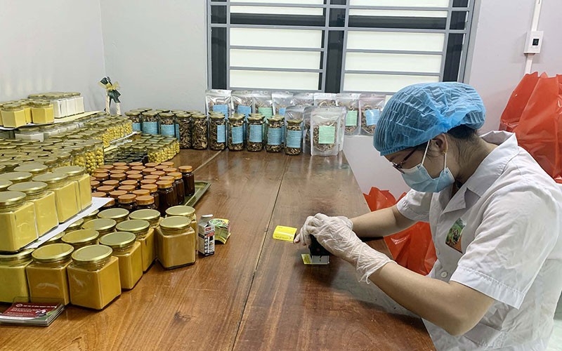 Tinh bột nghệ của HTX Nông nghiệp Tân Thành là sản phẩm OCOP 4 sao tiêu biểu của tỉnh Bắc Kạn.