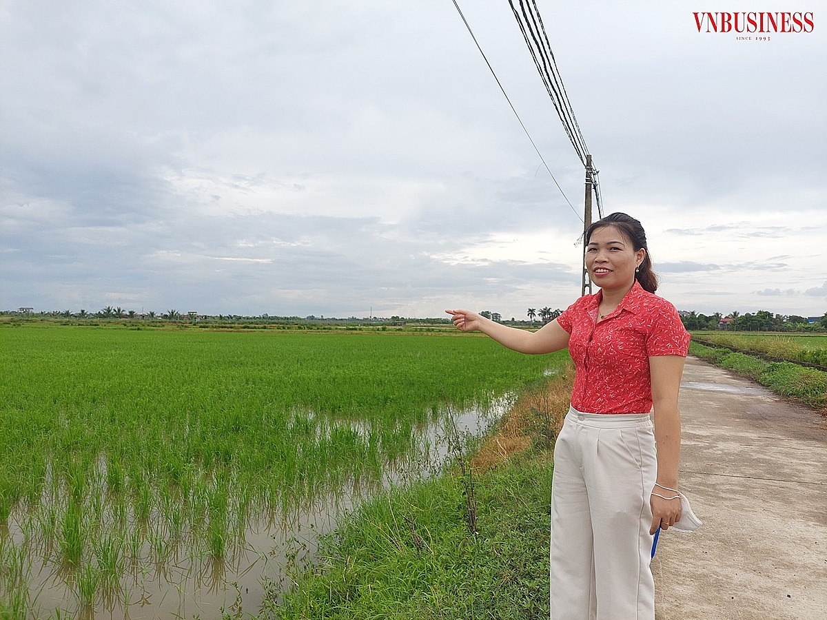 Lãnh đạo Hội nông dân xã cho biết, tình trạng bỏ ruộng không canh tác của xã đã giảm nhiều so với 3 năm trước.