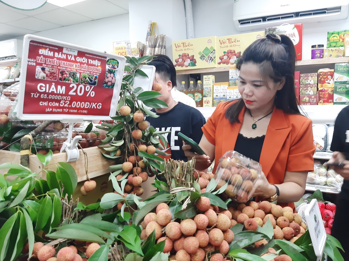 Việc đưa đặc sản vải thiều của Hải Dương, Bắc Giang vào các hệ thống siêu thị lớn được đánh giá là một trong những thành công trong việc xây dựng liên kết gắn với phát triển kinh tế địa phương.