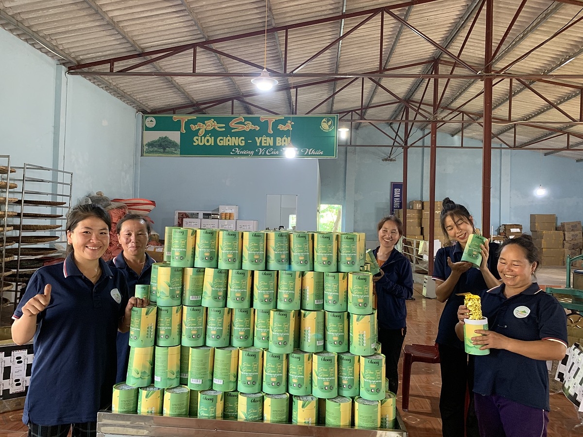 Niềm vui hân hoan, phấn khởi của các thành viên HTX Suối Giàng khi chuẩn bị sản phẩm OCOP 4 sao Diệp trà Shan Tuyết để xuất khẩu sang thị trường Anh Quốc.