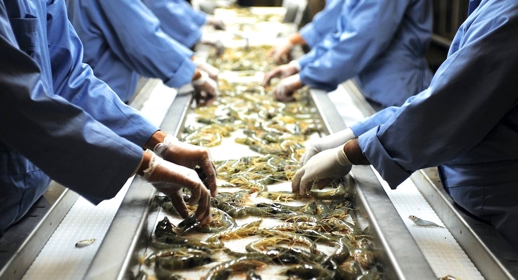 XK thủy sản trong 5 tháng cuối năm nay sẽ đi theo “kịch bản” nào vẫn đang là dấu hỏi ở phía trước.