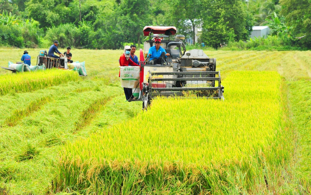 Sự năng động sáng tạo ở các tổ hợp tác nông nghiệp góp phần giúp giảm nghèo ở huyện Tam Nông.