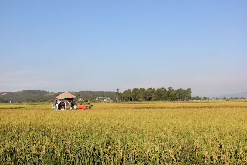 Phong trào dồn điền đổi thửa đang tạo ra “cuộc cách mạng” trong sản xuất nông nghiệp ở Hà Tĩnh.
